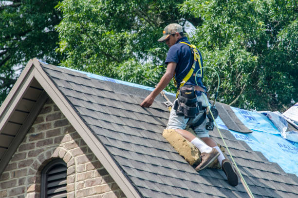 Best Storm Damage Roof Repair  in Memphis, TN